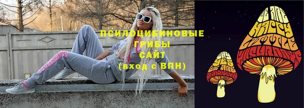 бошки Александровское