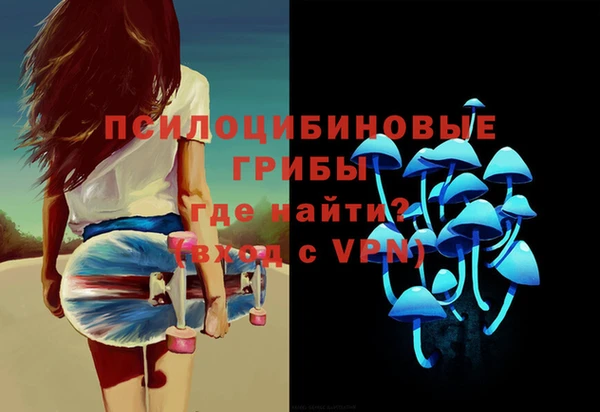 амф Щёлкино