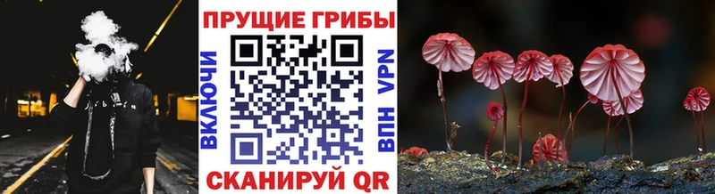 Псилоцибиновые грибы Cubensis  Купить  Славянск-на-Кубани 