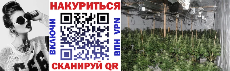 Купить Славянск-на-Кубани Бошки Шишки THC 21%
